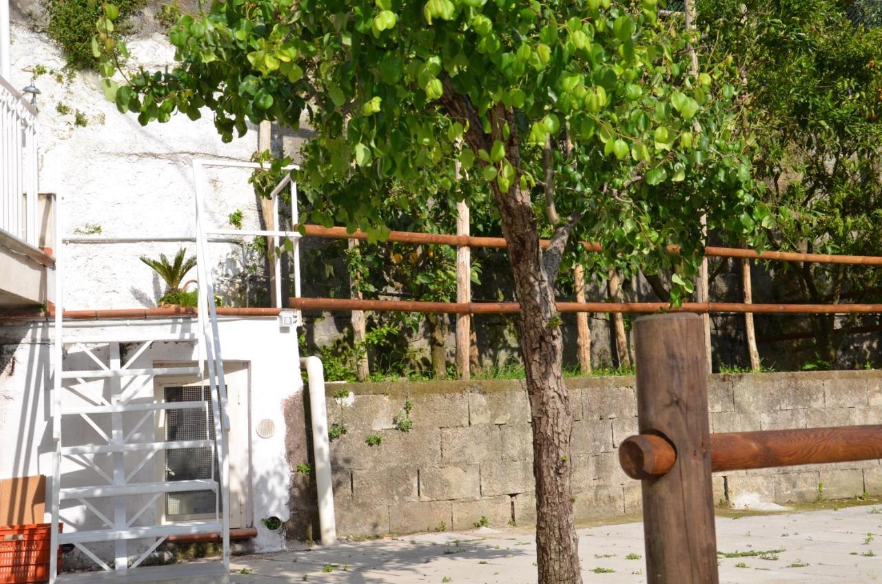 Villa Luciana Sant'Agnello Exteriör bild