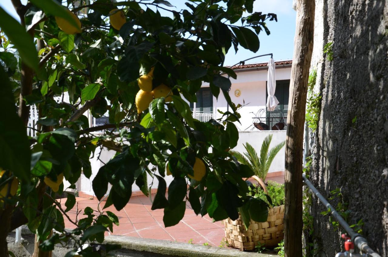Villa Luciana Sant'Agnello Exteriör bild